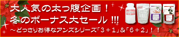 大人気の太っ腹企画！冬のボーナス大セール！！