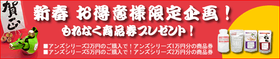 ★新春　お得意様限定企画！もれなく商品券プレゼント！
