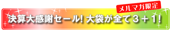決算大感謝セール！大袋が全て3+1！