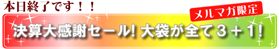 決算大感謝セール！本日終了！