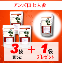 アンズシ田七人参3+1