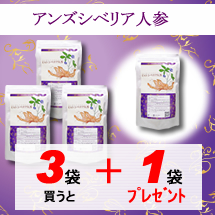 アンズシベリア人参3+1