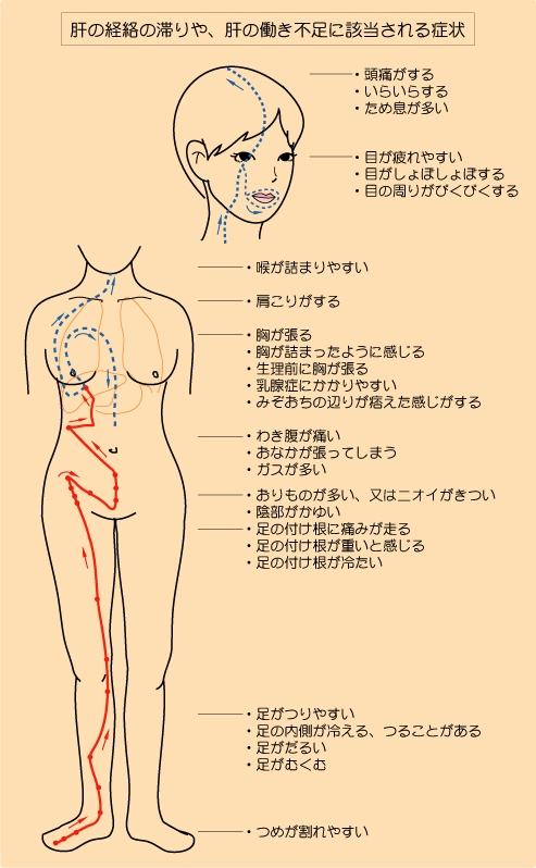 卵巣嚢腫 のうしゅ 女性のカラダ相談 漢方相談